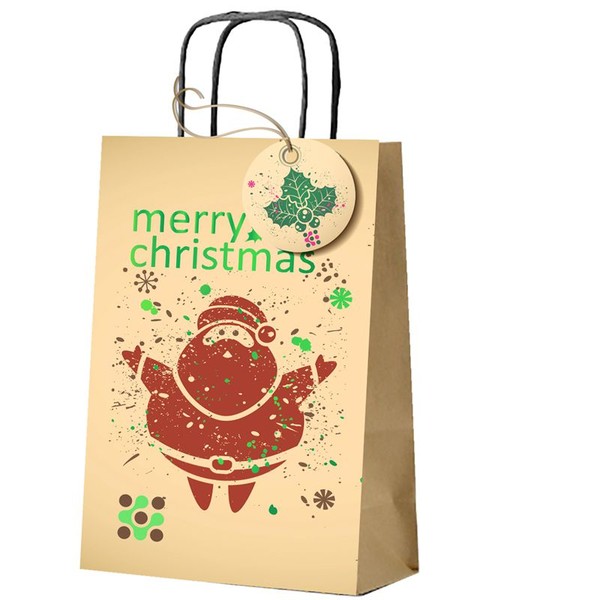 ODM Printed Merry Christmas Vellum Gift Paper Bag With Tag
